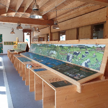 Exposition permanente