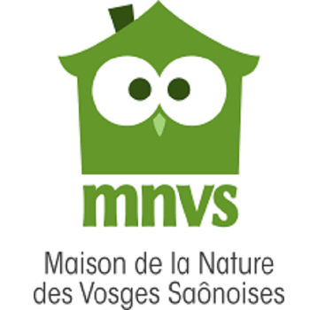 logo mnvs
